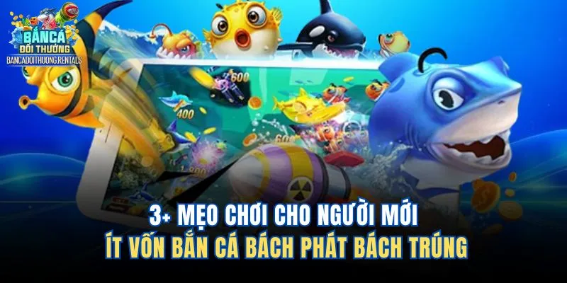 3+ Mẹo Chơi Cho Người Mới Ít Vốn Bắn Cá Bách Phát Bách Trúng