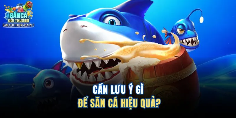 Cần lưu ý gì để săn cá hiệu quả?