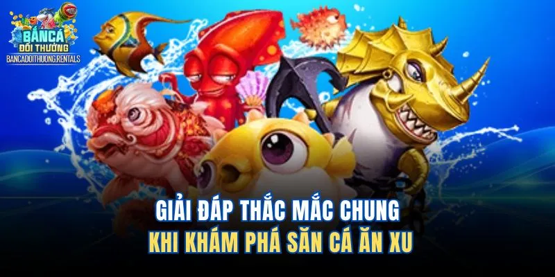 Giải đáp thắc mắc chung khi khám phá săn cá ăn xu