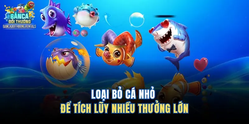 Loại bỏ cá nhỏ để tích lũy nhiều thưởng lớn