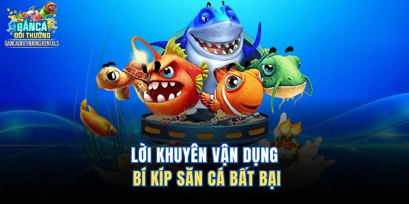 Lời khuyên vận dụng bí kíp săn cá bất bại