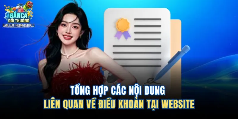 Tổng hợp các nội dung liên quan về điều khoản tại website