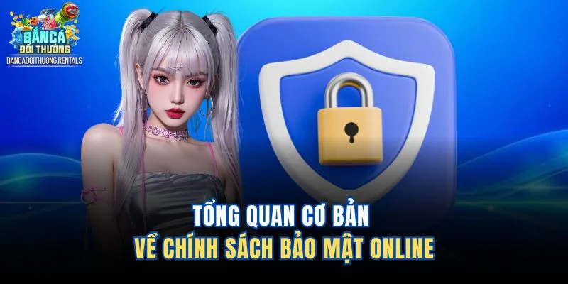 Tổng quan cơ bản về chính sách bảo mật online 