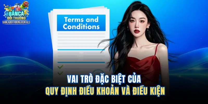 Vai trò đặc biệt của quy định điều khoản và điều kiện